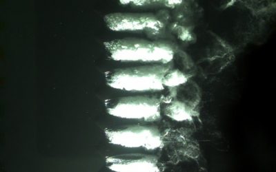 Hydrodynamic and Acoustic Investigation of Twisted Hydrofoils with Tubercles and Corrugations